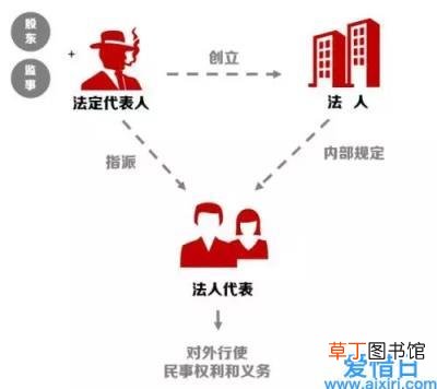 法人基本情况个人简历 法人代表简历怎么写