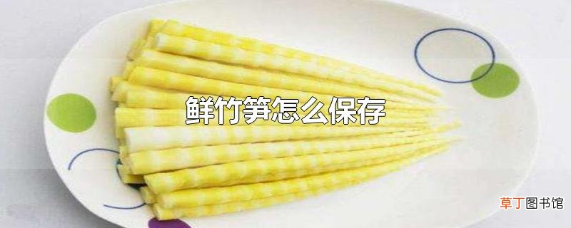 鲜竹笋怎么保存