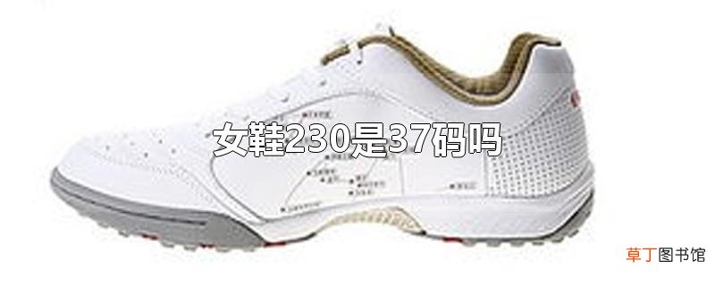 女鞋230是37码吗