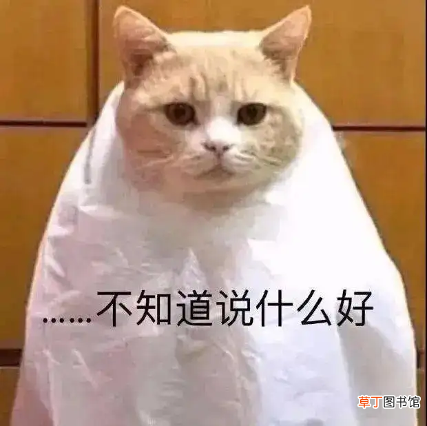 微信聊天壁纸隔离区 qq聊天壁纸隔离区
