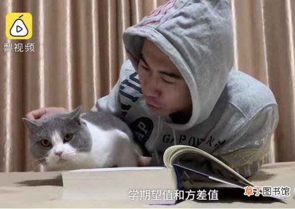 微信聊天壁纸隔离区 qq聊天壁纸隔离区