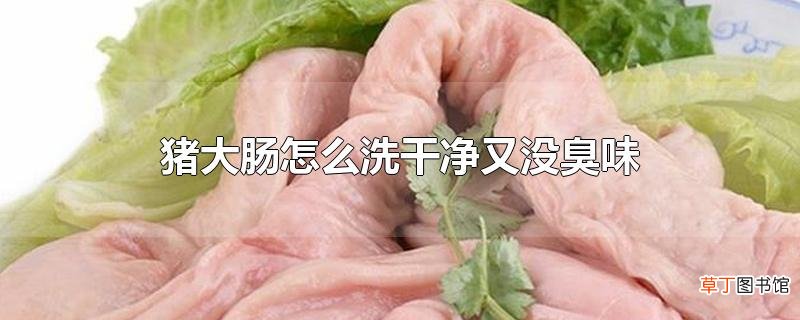 猪大肠怎么洗干净又没臭味