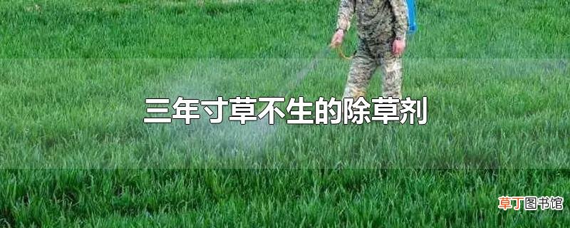 三年寸草不生的除草剂