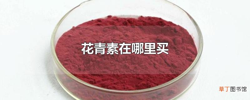 花青素在哪里买