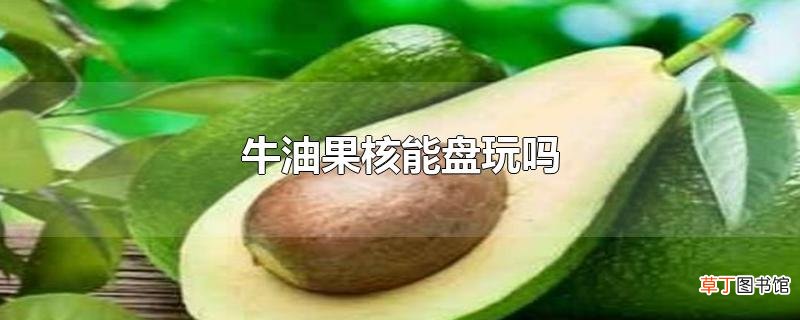 牛油果核能盘玩吗