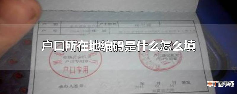 户口所在地编码是什么怎么填