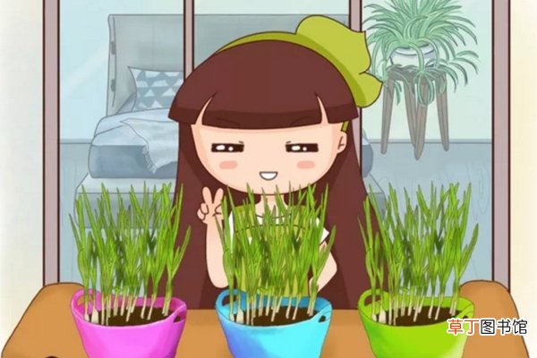 切个片扔土里，果子多的压弯枝，夏天水果蔬菜不用买！