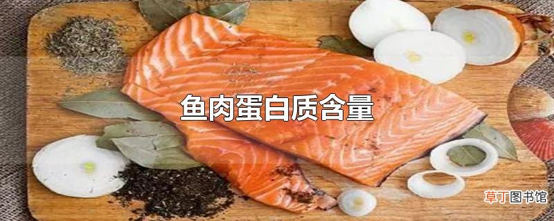 鱼肉蛋白质含量