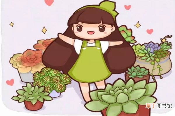 这8种花扔土里，40℃高温都能活，堪称护花神器！