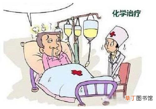 白细胞低吃什么补得快 这5大食物别错过