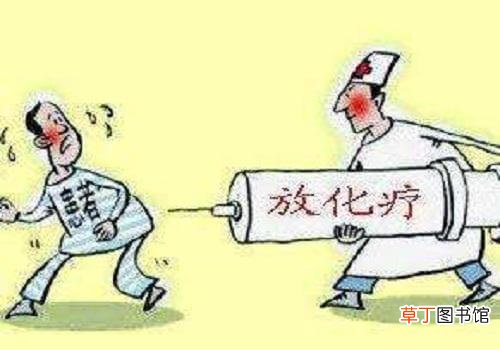 白细胞低吃什么补得快 这5大食物别错过
