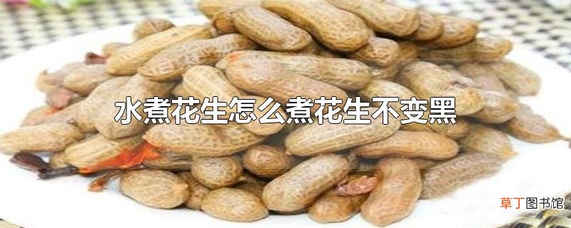 水煮花生怎么煮花生不变黑