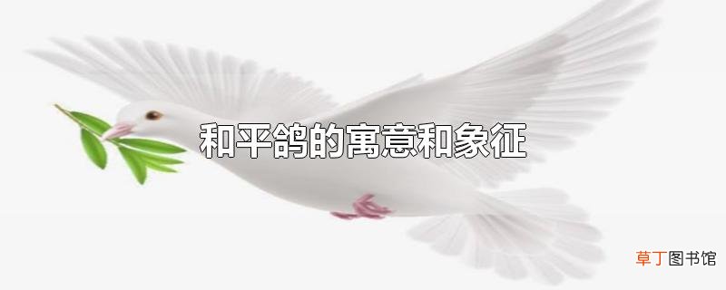 和平鸽的寓意和象征