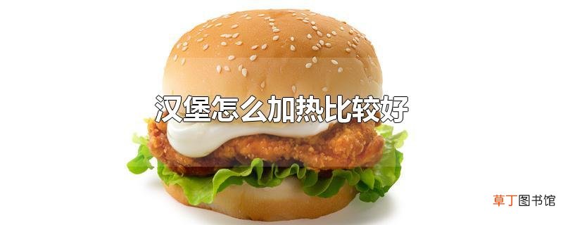 汉堡怎么加热比较好