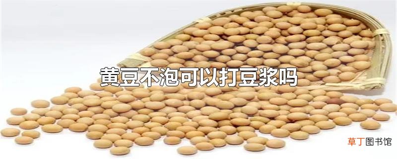 黄豆不泡可以打豆浆吗