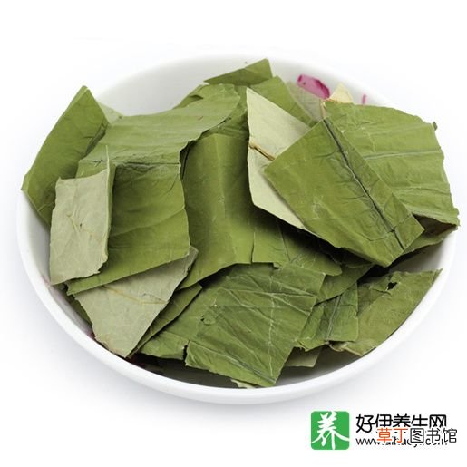 荷叶茶的功效作用是什么 荷叶茶功效