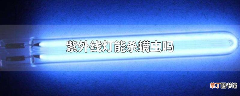 紫外线灯能杀螨虫吗