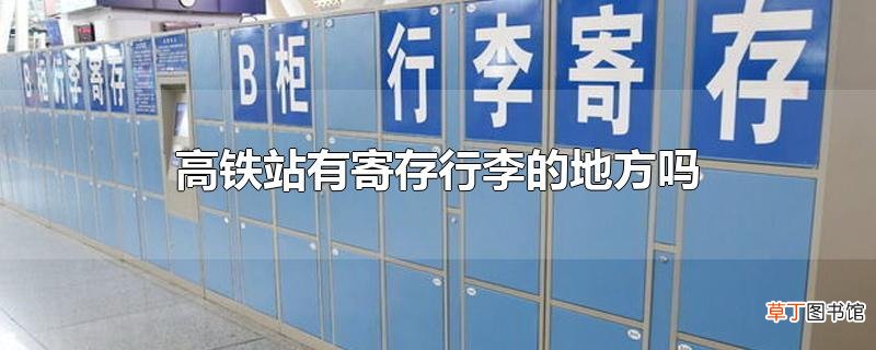 高铁站有寄存行李的地方吗
