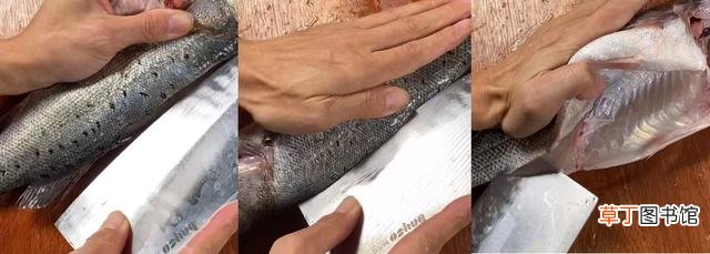 清蒸海鲈鱼怎么做好吃 海鲈鱼最正宗的做法