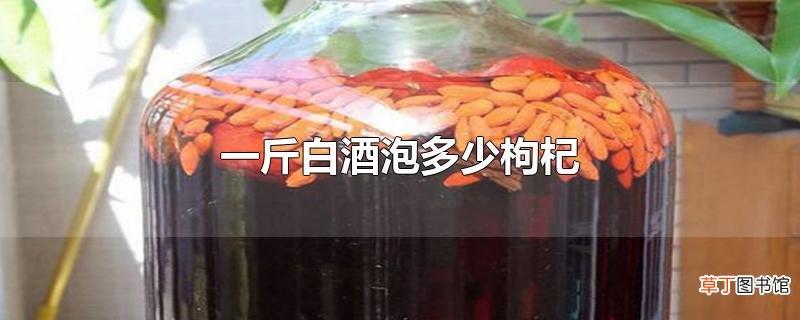 一斤白酒泡多少枸杞