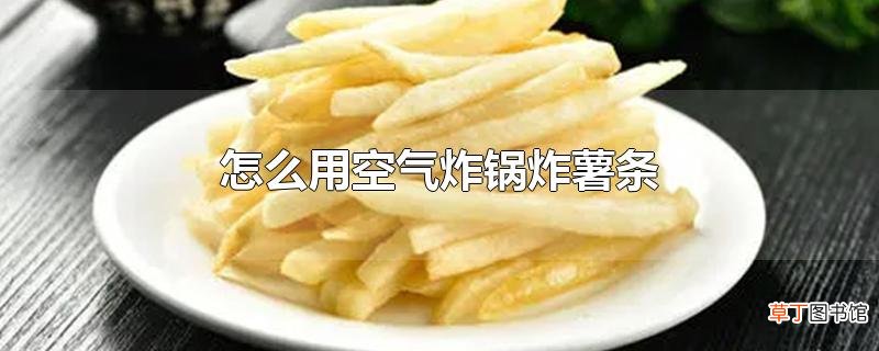 怎么用空气炸锅炸薯条