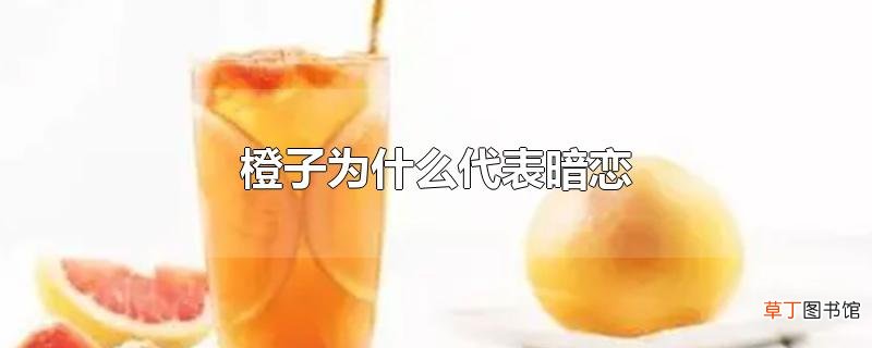 橙子为什么代表暗恋