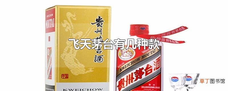 飞天茅台有几种款
