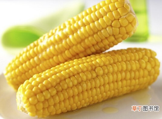 白领吃什么能协助有效减肥