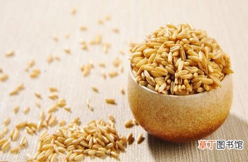白领吃什么能协助有效减肥