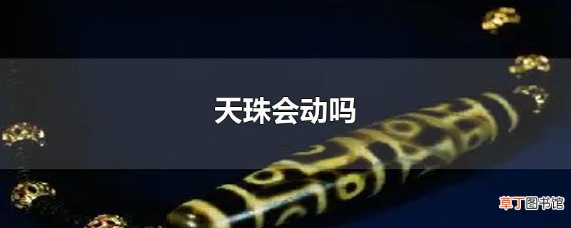 天珠会动吗