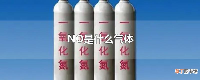 NO是什么气体