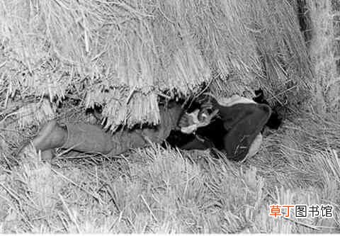 韩国三大悬案之二：华城连环杀人案始末