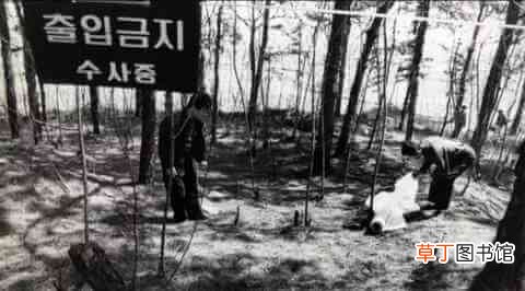韩国三大悬案之二：华城连环杀人案始末