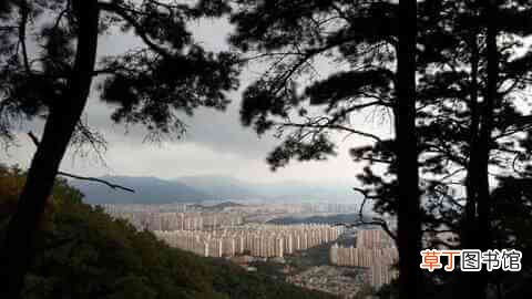 韩国三大悬案之一:青蛙少年失踪案始末