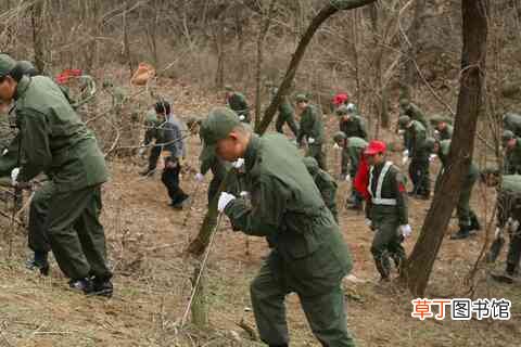 韩国三大悬案之一:青蛙少年失踪案始末