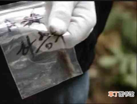 韩国三大悬案之一:青蛙少年失踪案始末