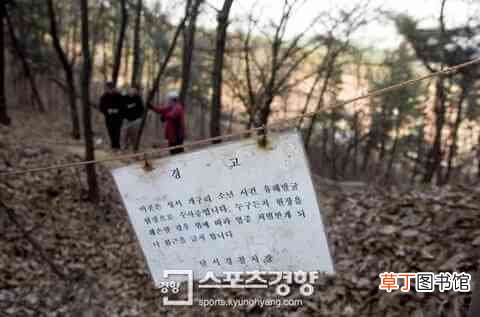 韩国三大悬案之一:青蛙少年失踪案始末