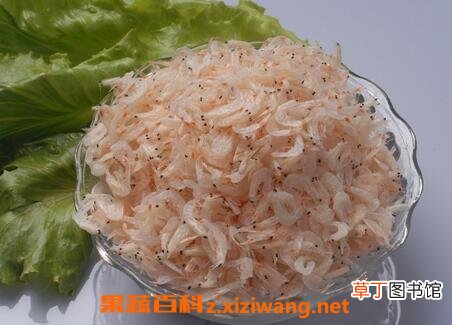 淡干虾皮和咸虾皮区别