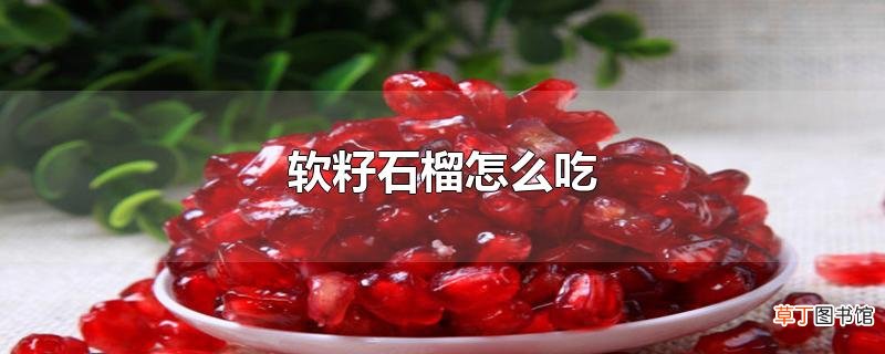 软籽石榴怎么吃