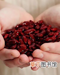 红豆和赤小豆别傻傻分不清