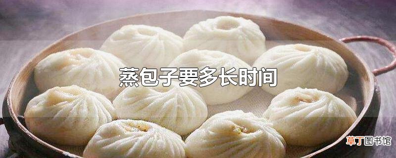 蒸包子要多长时间
