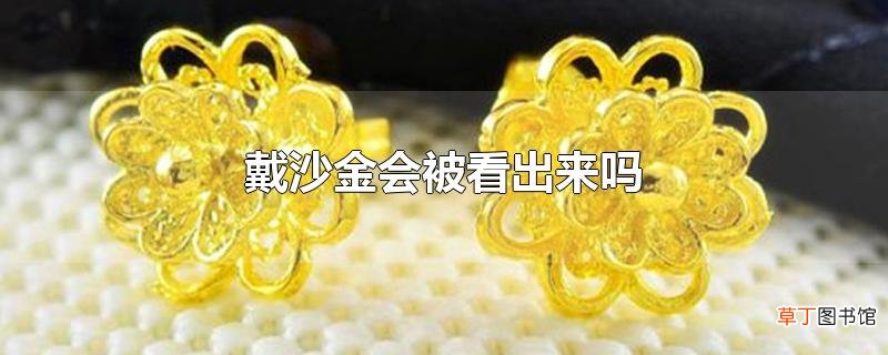 戴沙金会被看出来吗