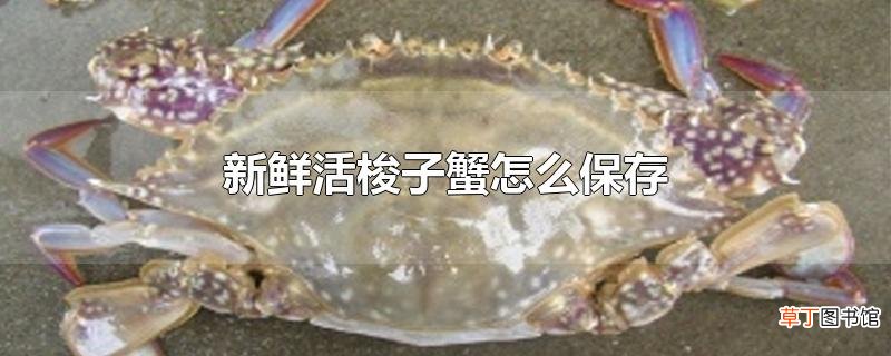 新鲜活梭子蟹怎么保存