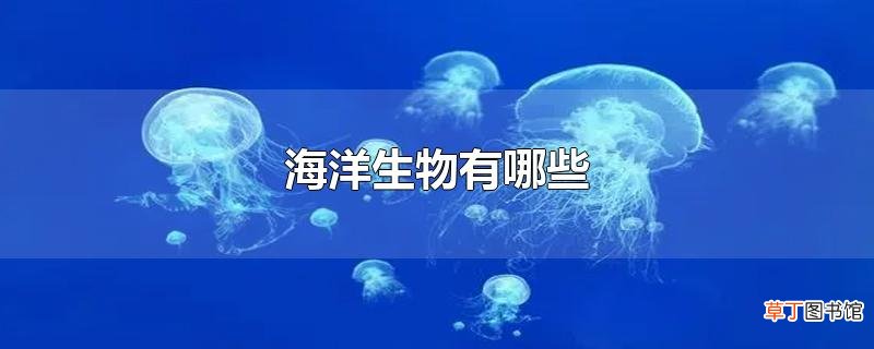 海洋生物有哪些