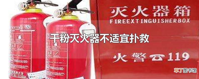 干粉灭火器不适宜扑救