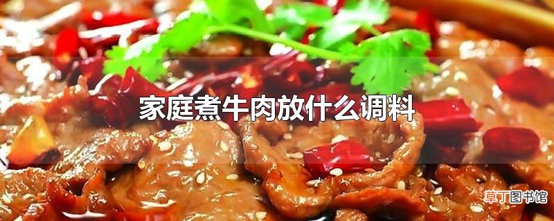 家庭煮牛肉放什么调料