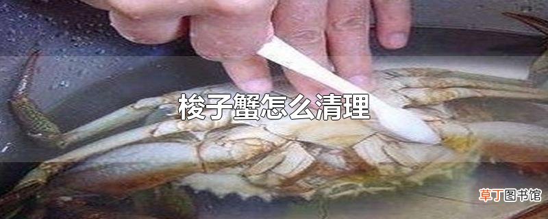 梭子蟹怎么清理