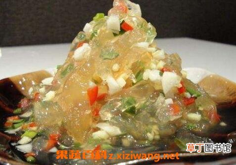 海蜇的功效与作用 海蜇的药用价值