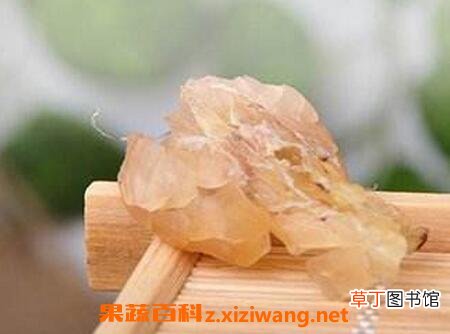 雪蛤的功效与作用 雪蛤的食用方法及禁忌