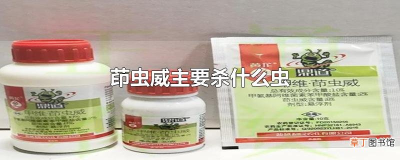 茚虫威主要杀什么虫